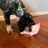 Ivy Durham927 - @teddybear_andme_ - TikTok