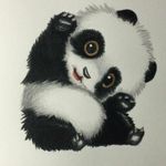 Ivy Foster - @happytrees_061 - Instagram