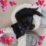 Ivy Gillespie - Facebook