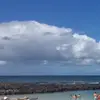 ivy_green - @ivy_green - TikTok