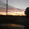 Ivy Grimes - @ivy.grimes - TikTok