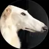 Ivy Hansen - @user3408248497501 - TikTok