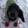 Henry_Ivy - @henry_ivy - TikTok