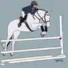 Equine! - @ivy.hill.stables - TikTok