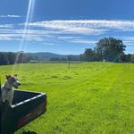 Ivy Hill Farm - @ivyhillwapengo - Instagram