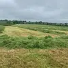 ivyhillfarm - @ivyhillfarm1 - TikTok