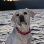 🐾Ivy Hogan🐾 - @ivy_hogan76 - Instagram