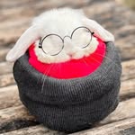 @ivy_hollandlop - Instagram