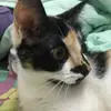 Lisa1017 - @ivyhon2 - TikTok