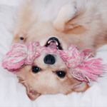 Ivy Hook - @ivyhook - Instagram