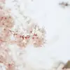 Ivy Horner - @j45jrisu7 - TikTok