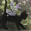 𝐢𝐯𝐲 𝐡𝐨𝐮𝐬𝐞 - @ivy_house - TikTok