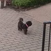 Ivy's House - @ivys.house - TikTok