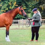 Natasha Keren Heaphy - @ivyhouseshowing - Instagram