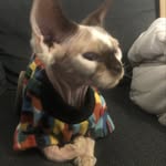 @ivy.houstondaw - Instagram