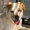 Ivy - @ivy_houstontx - TikTok