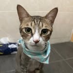 謝霈 - @ivy_hsieh_ - Instagram