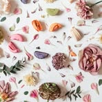 Ivy Hu - Facebook