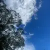 Ivy Ingram - @ivy.ingram - TikTok