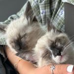 Irwin & Ivy - @adventuresofirwinandivy - Instagram