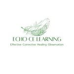 Ivy Iverson, LMT - @echocelearning - Instagram