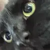 user4182286084335 - @ivy.iverson3 - TikTok
