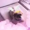 ivy.james - @ivy.james8 - TikTok