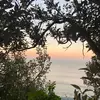 jamison.ivy - @jamison.ivy - TikTok