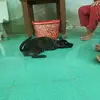 jamisonivy - @jamisonivy - TikTok