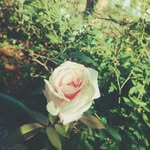 Ivy Javier Bodino - @aybeehhhh - Instagram
