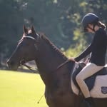 ivy jean 🇦🇺WA Australia 🇦🇺 - @missmoo_equestrian_jumping - Instagram