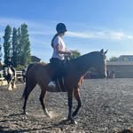 ivy jenkins - @ivyyy.equestrian - Instagram