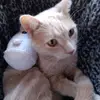 ivy.john32 - @ivy.john32 - TikTok