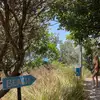 ivy - @ivyy.jones0 - TikTok