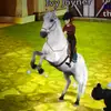 Horse riding tales 🌸 - @its.ivy_joyner_ - TikTok