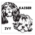 Kaiser And Ivy🦋✨ - @kaisernivy - Instagram