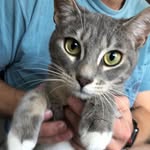 Ivy the Katz - @ivy_the_katz - Instagram