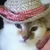 IvyKatzen - @ivykatzen - TikTok