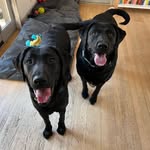 Joey & Ivy Katz-Yugovich - @joey_and_ivy - Instagram