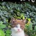 Ivy Calor - Facebook