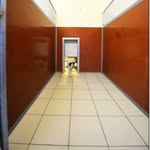 Ivy Kennels & Cattery - @ivykennels - Instagram