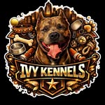 Kee2X - @ivy_kennels_ - Instagram
