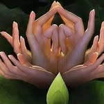Ivy Khan - @ivykhan8 - Instagram