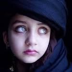 ivykhan101@gmail.com - @ivykhan7005 - Instagram
