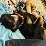 Ivy & Logan - @kodamaxp - Instagram