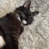 ivylove - @.ivylove - TikTok