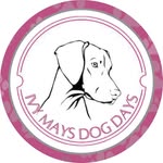 Ivy Mays Dog Days - @ivymaysdogdays - Instagram