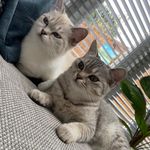 @ivy_maysa_poes - Instagram