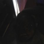 ivyiona mccray - @ivyionamccray - Instagram