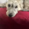 ivymichaud111 - @ivymichaud111 - TikTok